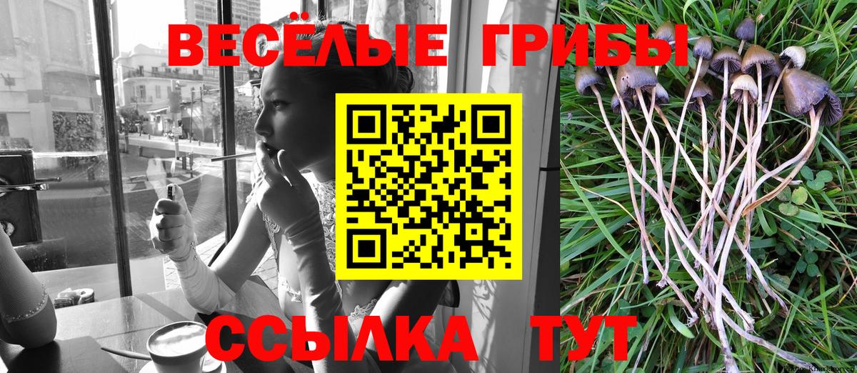 Галлюциногенные грибы Cubensis Когалым